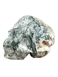 Tree Agate Skull #237 - 12.5cm