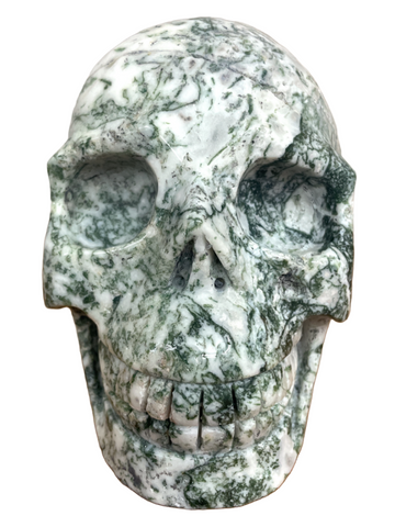 Tree Agate Skull #237 - 12.5cm