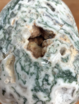 Tree Agate Skull #237 - 12.5cm