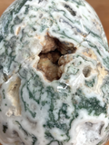 Tree Agate Skull #237 - 12.5cm