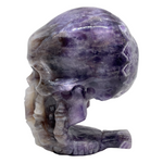 Chevron Amethyst Skull #254