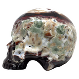 Black Zebra Agate Skull #255