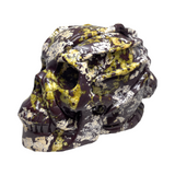 Hiso Jasper Skull with Alien #264