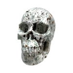 Tree Agate Skull #265