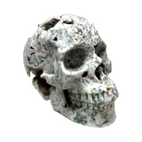 Tree Agate Skull #265