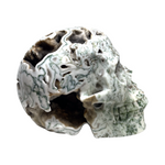 Tree Agate Skull #265