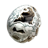 Tree Agate Skull #265