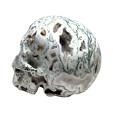 Tree Agate Skull #265