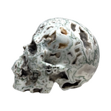 Tree Agate Skull #265