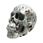 Tree Agate Skull #265