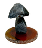 Gobi Desert Agate Mushroom
