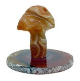 Gobi Desert Agate Mushroom