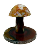 Gobi Desert Agate Mushroom