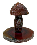 Gobi Desert Agate Mushroom