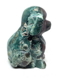 Ocean Jasper Dog #268