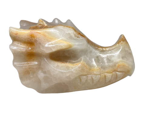 Onyx Dragon Skull #433