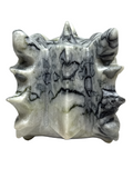 Black Lace Serpentine Dragon Skull #319