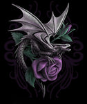 Anne Stokes DRAGON BEAUTY - Amber Incense Sticks