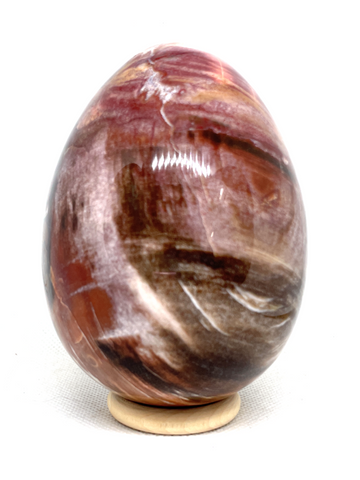 Petrified Wood Egg #289 - 10cm