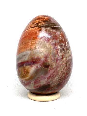 Petrified Wood Egg #288 - 9cm