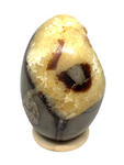 Septarian Egg #395