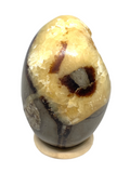 Septarian Egg #395