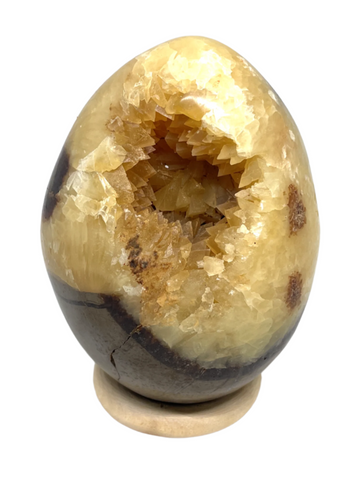 Septarian Egg #395