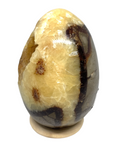 Septarian Egg #395