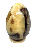 Septarian Egg #395