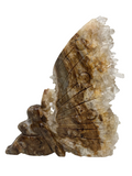 Clear Quartz Cluster Fairy #25 - 12.7cm