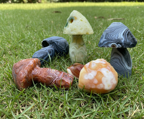 Gobi Desert Agate Mushroom