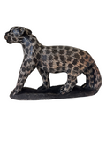 Hyena #35