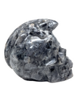 Larvikite Skull with Lizard #439
