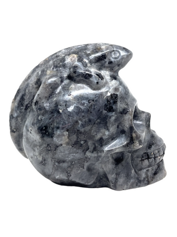 Larvikite Skull with Lizard #439