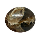 Coffee/Mocha Opal Palm Stone #242