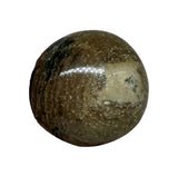Coffee/Mocha Opal Palm Stone #247