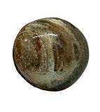 Coffee/Mocha Opal Palm Stone #247