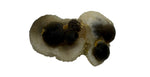 Panda Agate #324