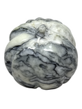 Black Lace Serpentine Pumpkin Skull #318