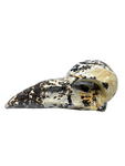 Picture Jasper Raven Skull #447 - 7.8cm
