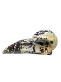 Picture Jasper Raven Skull #447 - 7.8cm