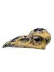 Picture Jasper Raven Skull #448 - 7.8cm