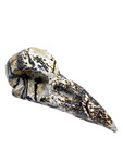 Picture Jasper Raven Skull #447 - 7.8cm