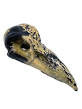 Picture Jasper Raven Skull #448 - 7.8cm