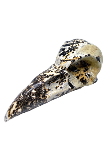 Picture Jasper Raven Skull #447 - 7.8cm