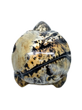 Picture Jasper Raven Skull #447 - 7.8cm