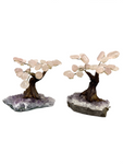 Rose Quartz Gemstone Tree with Amethyst Base