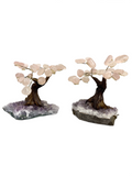 Rose Quartz Gemstone Tree with Amethyst Base