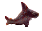 Ocean Jasper Shark #267