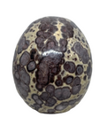 Asteroid Jasper Skull #375